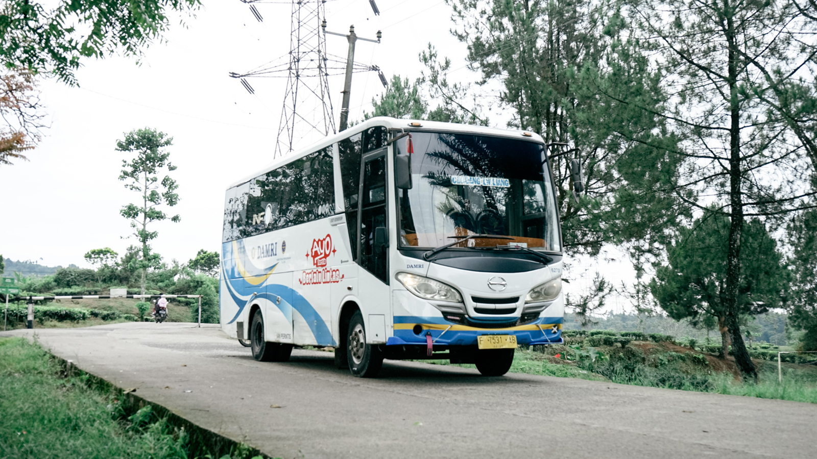Foto Damri Perintis